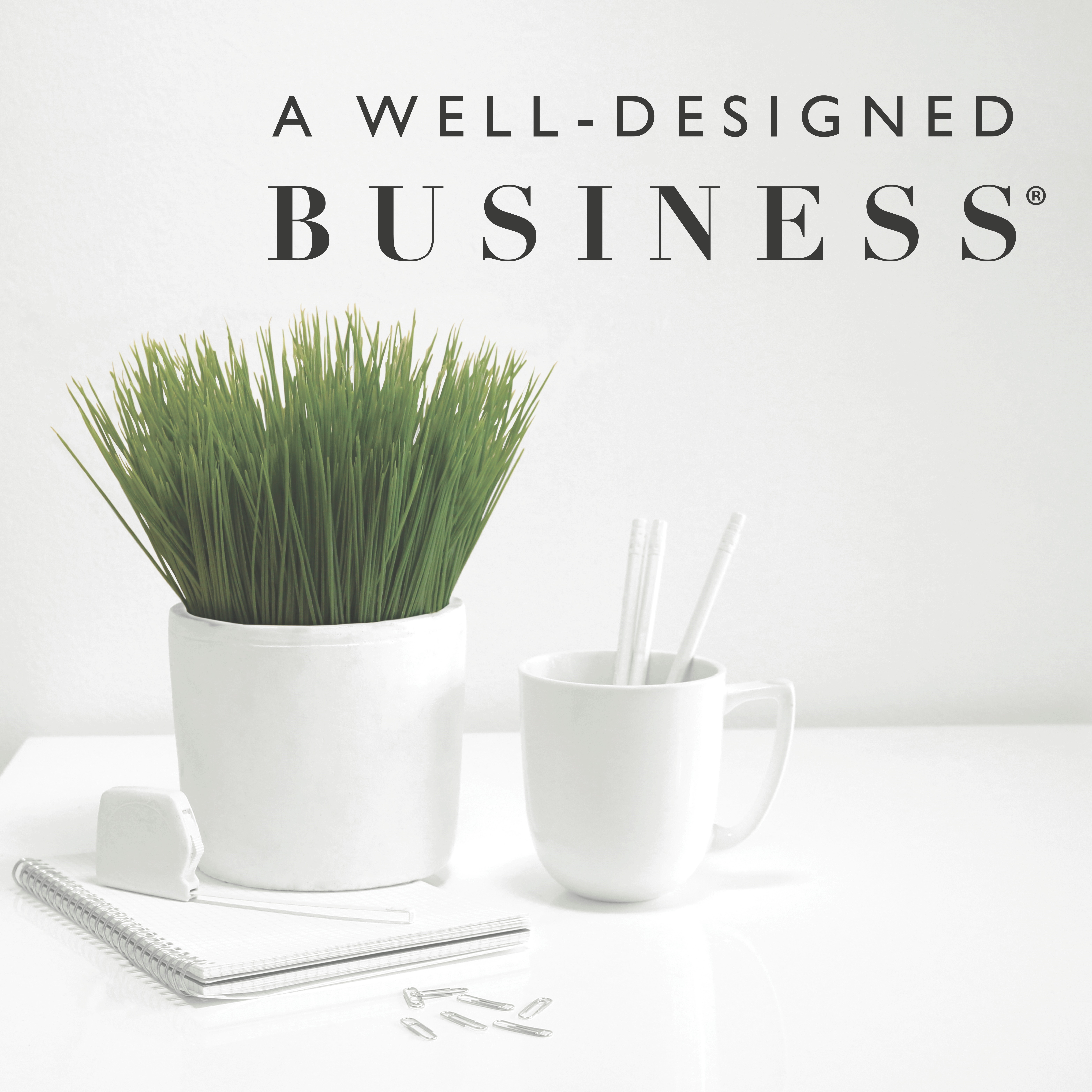 Kravet Inc. interviews with LuAnn Nigara from A Well-Designed Business Podcast Host