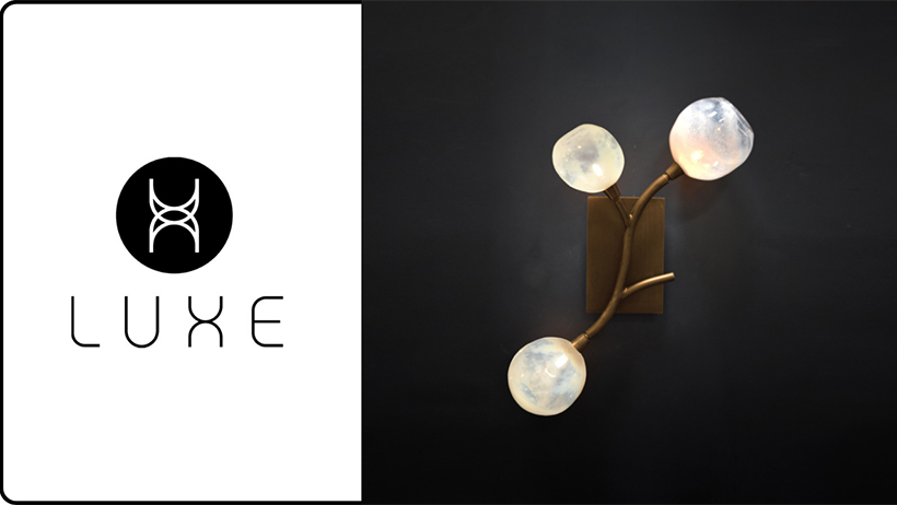 New Luxe Light & Home Wall Sconce